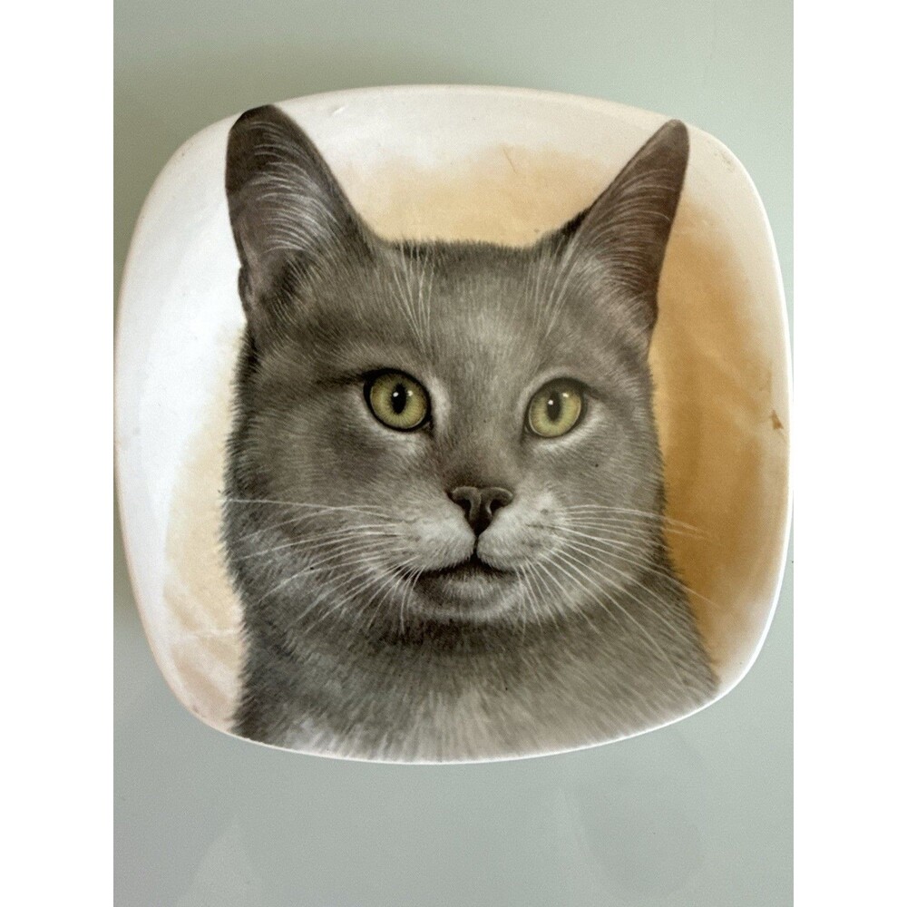 Crown Staffordshire England Gray Cat Portrait Square Bone China Trinket Dish
